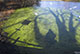 Hampstead Heath